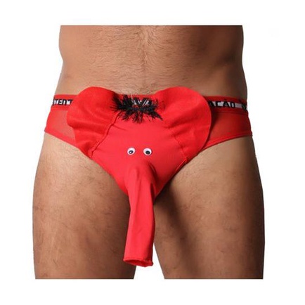 Cueca para o Noivo